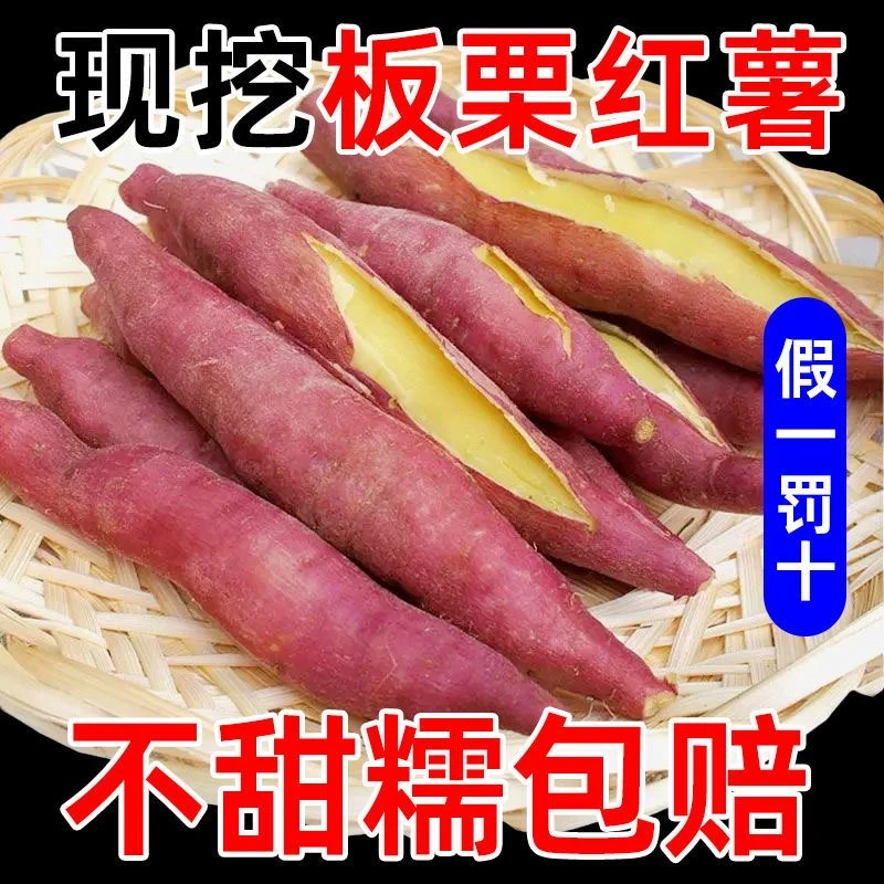 陕西临潼板栗红薯新鲜白芯地瓜番薯沙土地干面粉糯红薯批发