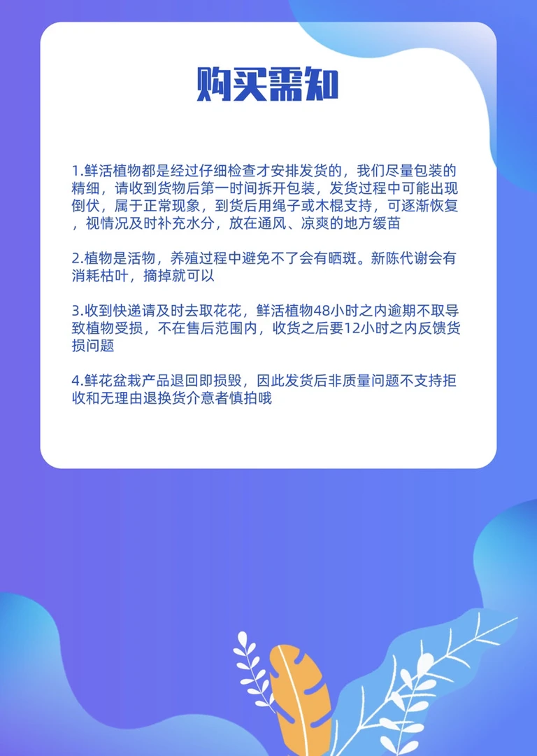 专款专拍 植物链接 一物一拍 直接拍下随机发货