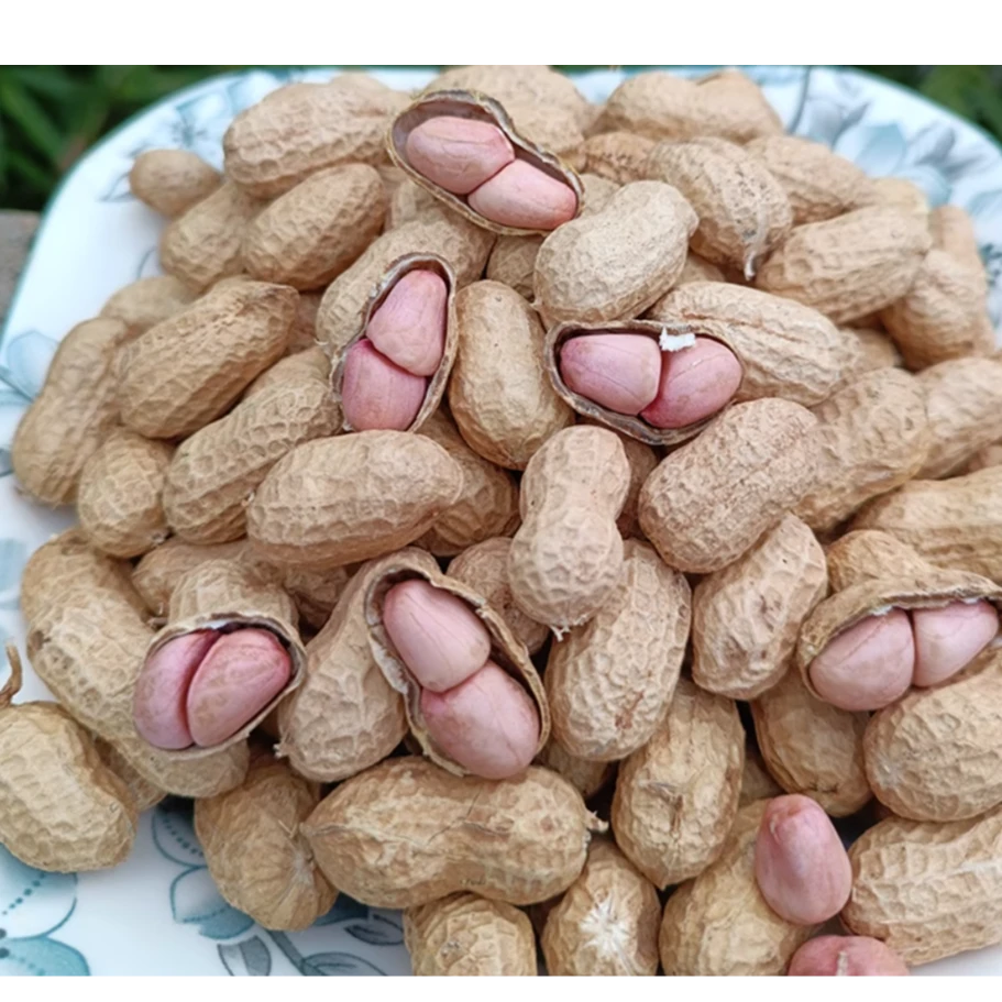 高山农家特色干蔬菜花生