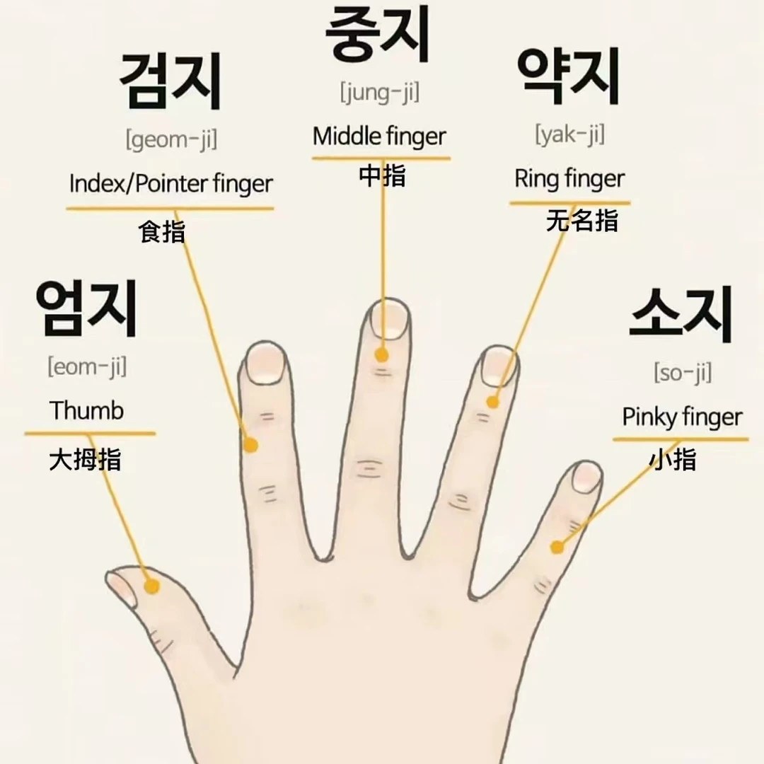 【手甲补甲】三仟纯手工穿戴甲 务必联系客服再下单 需备注款式