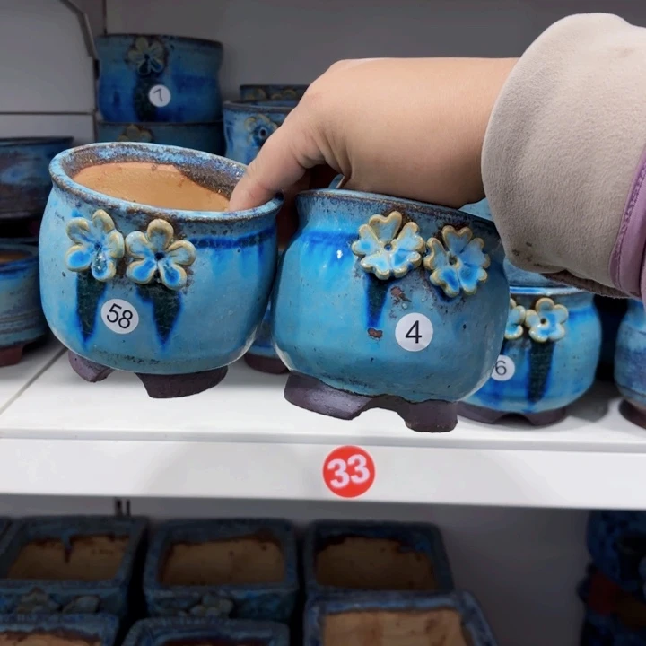 红陶20CM（含）-50CM（不含）五*熟