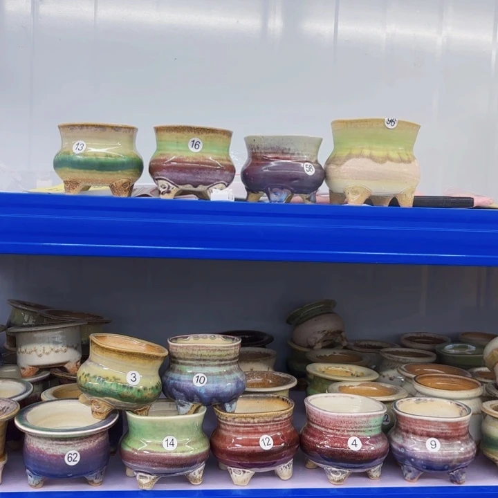 红陶20CM以下小*琪