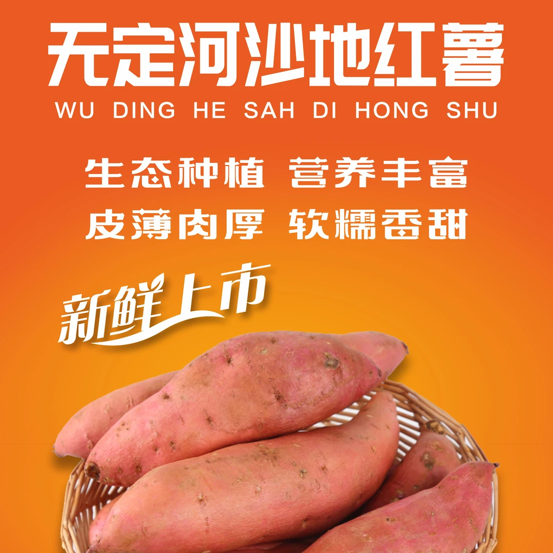 陕西省清涧县店则沟镇无定河沙地红薯软糯香甜甄选精品新鲜上市