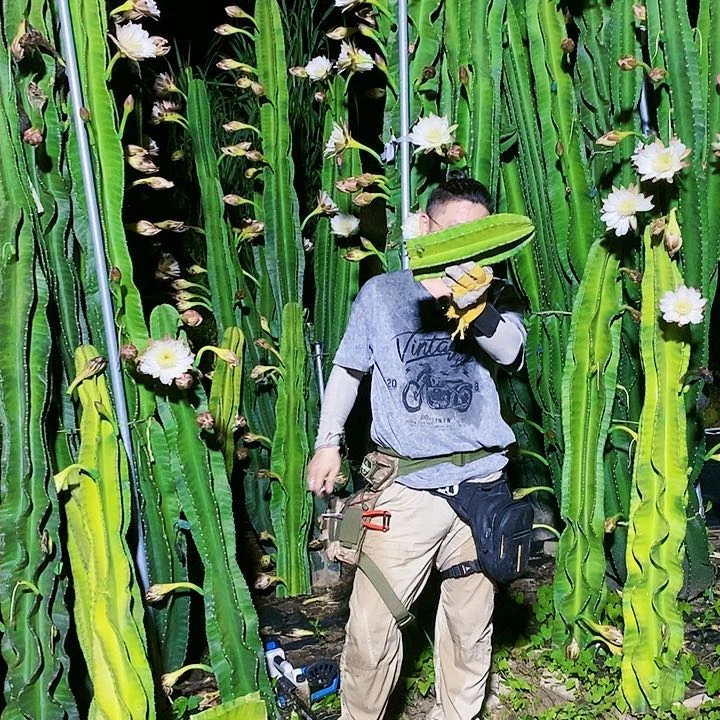 夏**9.9图片这款不包售后