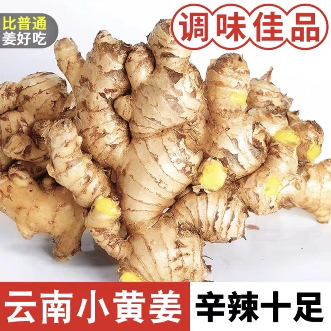 【新人直降】云南姜精选老姜新姜正宗小黄姜月子姜辛辣浓郁美味调味