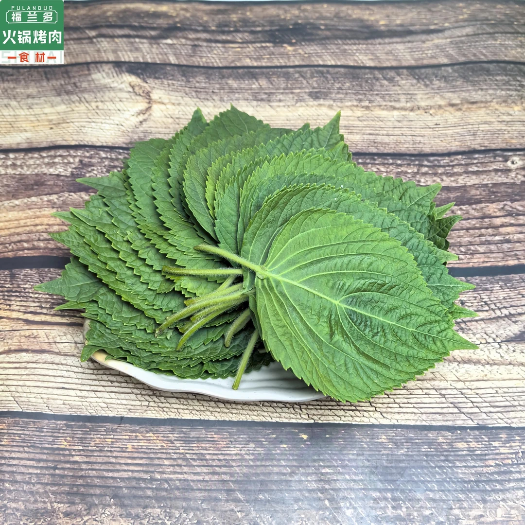 【烤肉搭档】苏子叶  韩式烤肉包肉用