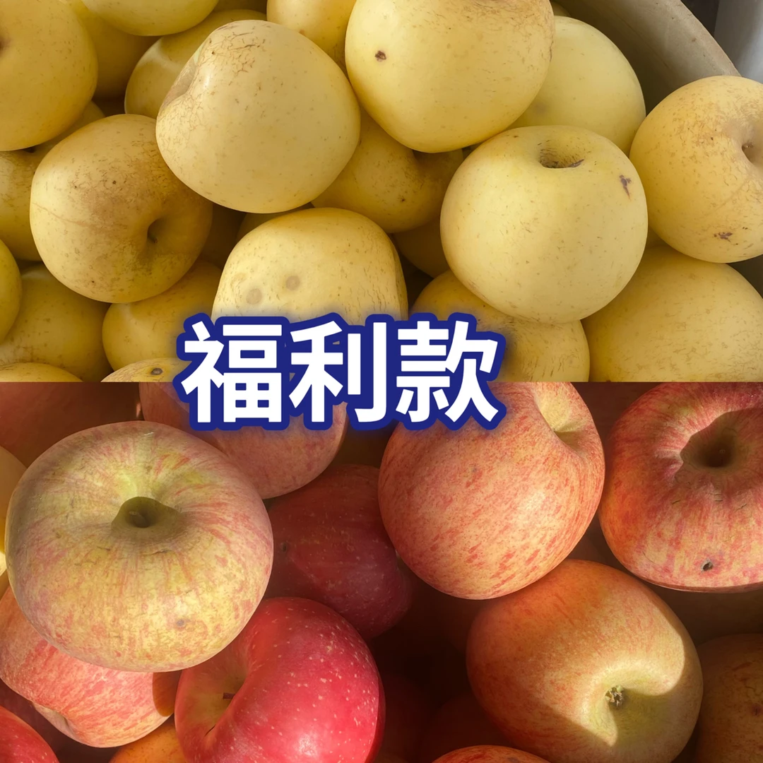 【不售后】山东烟台栖霞早熟苹果奶油昂林脆甜多汁福利款