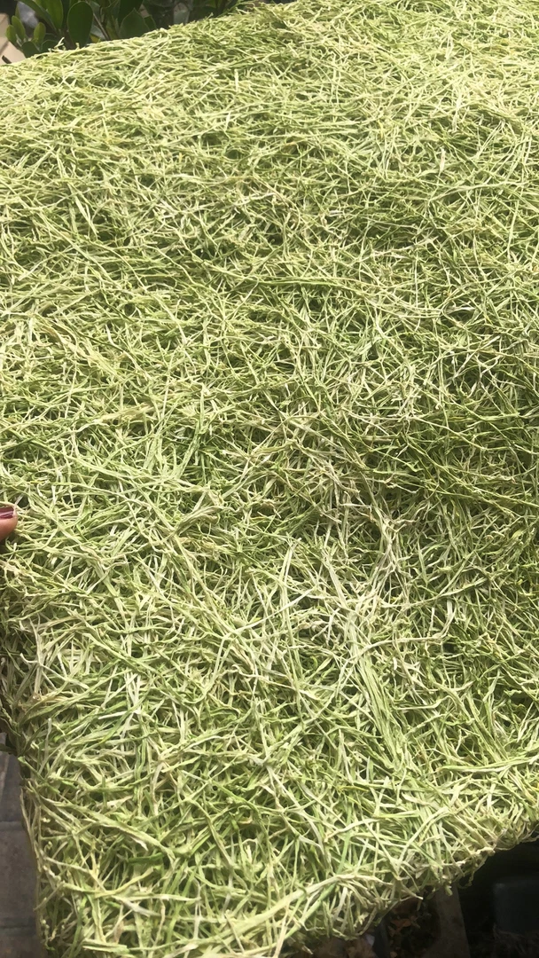 鹤庆家乡的萝卜丝