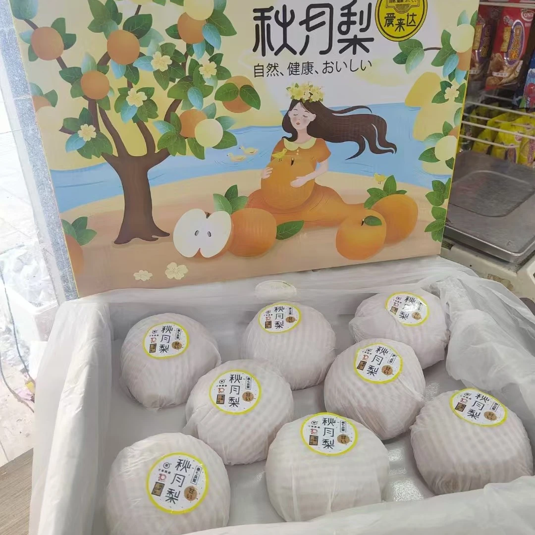秋月梨礼盒一件