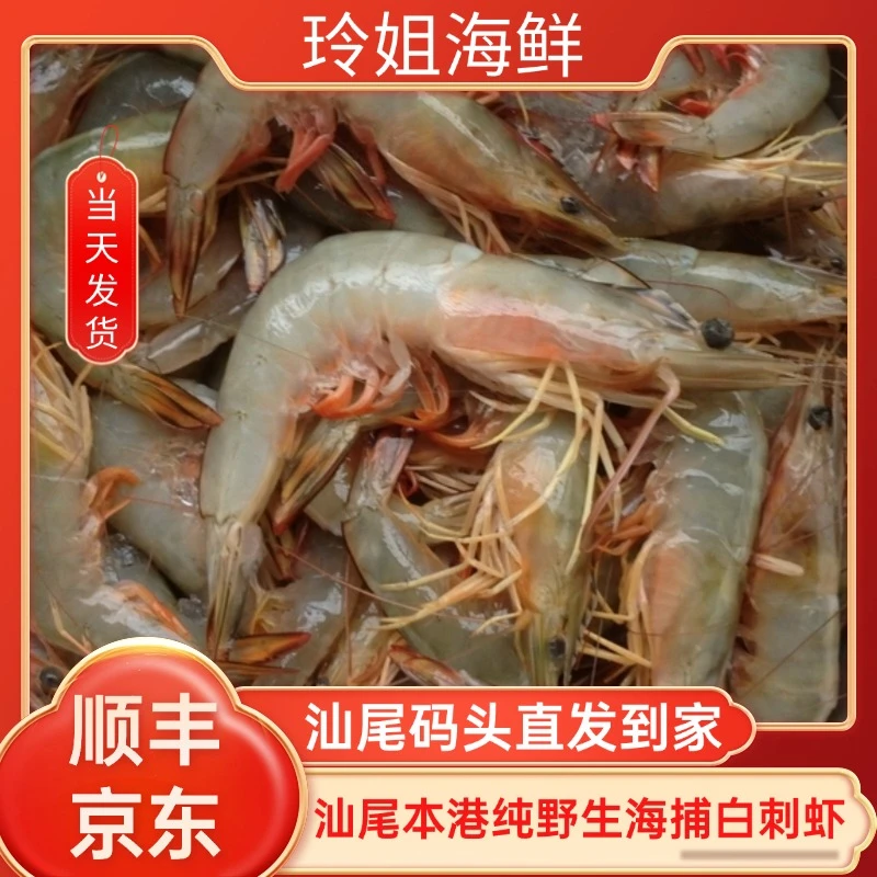 广东汕尾本港纯野生海捕白刺虾（明虾）黑头包赔，顺丰冷链配送到家