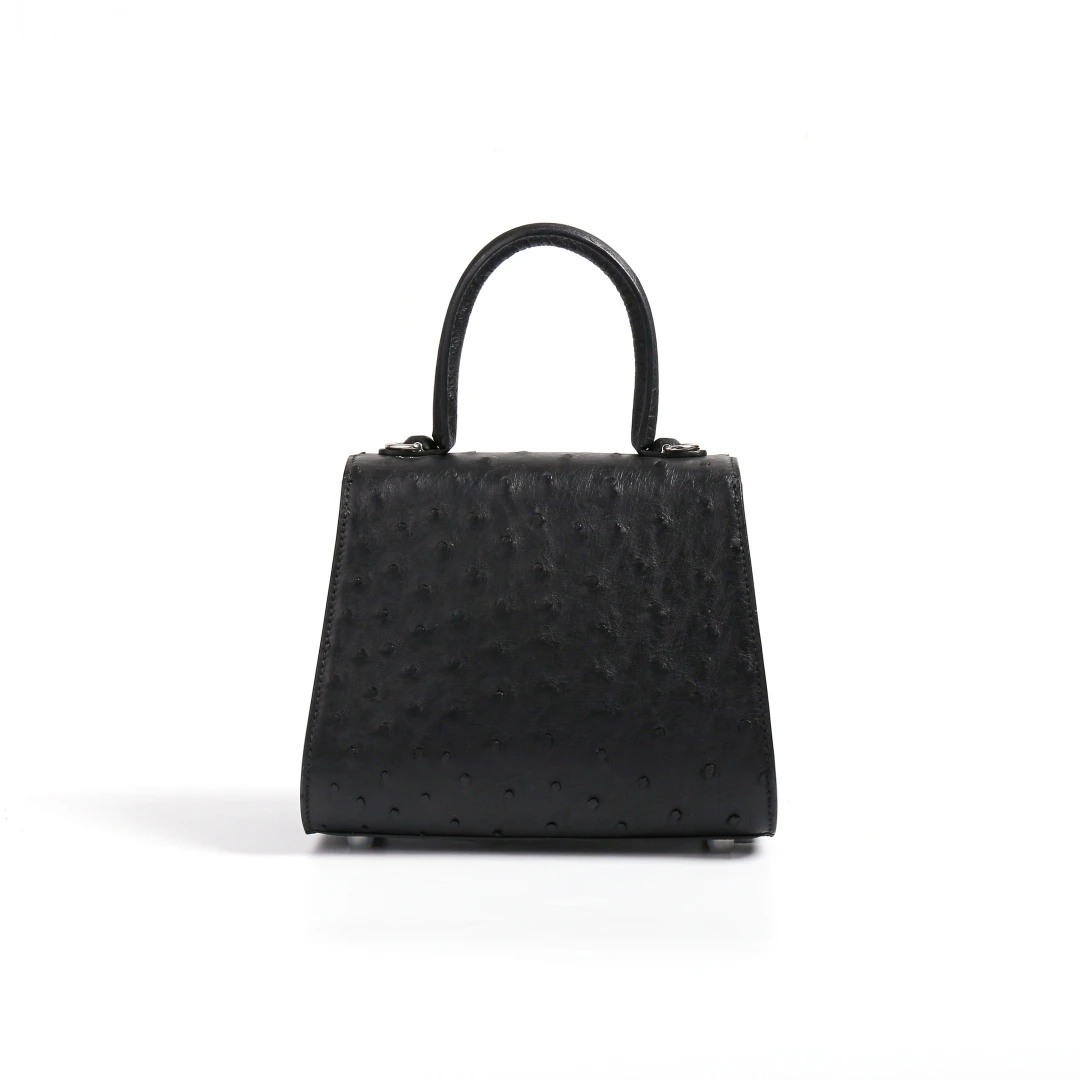 AIDAI爱黛   20鸵鸟小德 手提包斜挎包鸵鸟皮真皮包 GD00184