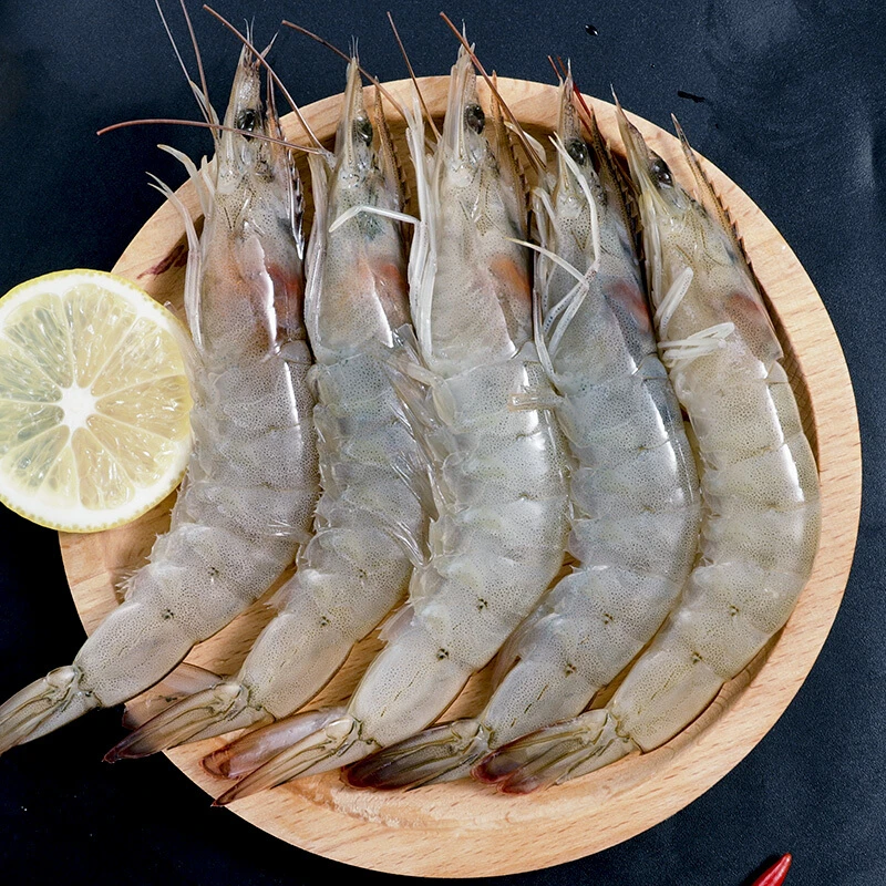 海洋大虾单只长度15-17CM到手3斤