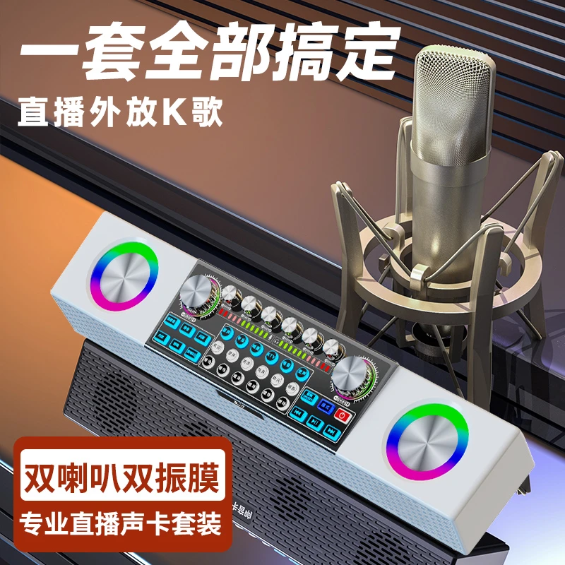 EARISE/雅兰仕专业直播唱歌可室内户外KTV声卡音响一体机无线套装