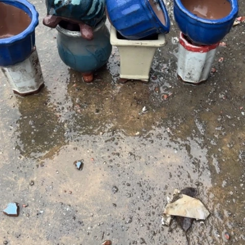 红陶20CM以下瑕疵8个