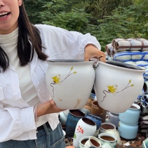 红陶20CM以下正品高17口17