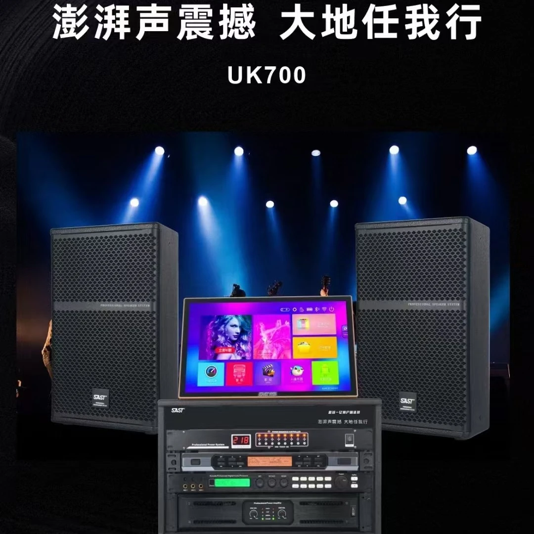 美国LULY露莉12寸家庭KTV音响套装家用卡拉ok套装