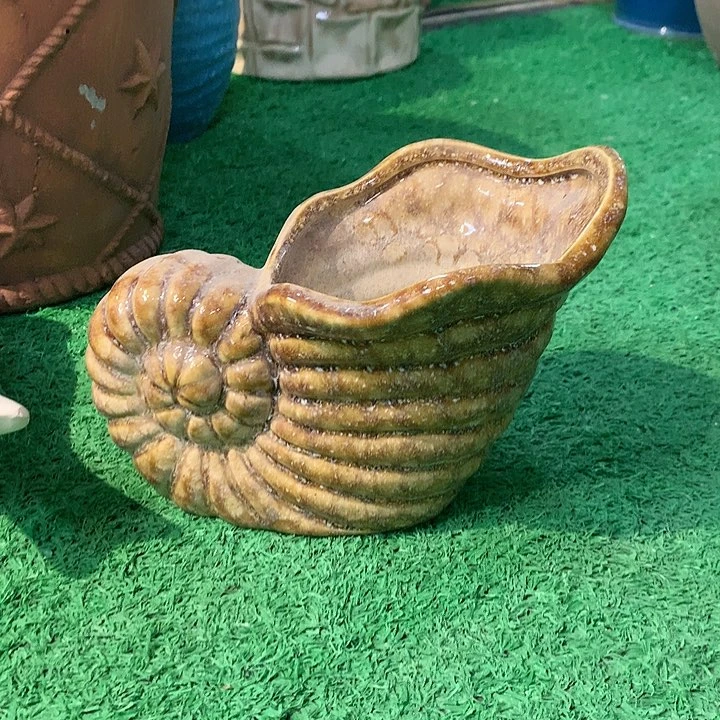 红陶20CM（含）-50CM（不含）