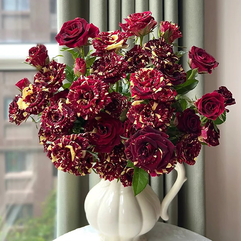 【流星雨】多头玫瑰【3单包邮顺丰空运/95%市区次日达】