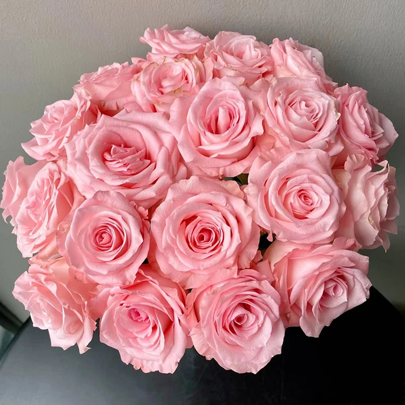 【戴安娜】玫瑰【3单包邮顺丰空运/95%市区次日达】