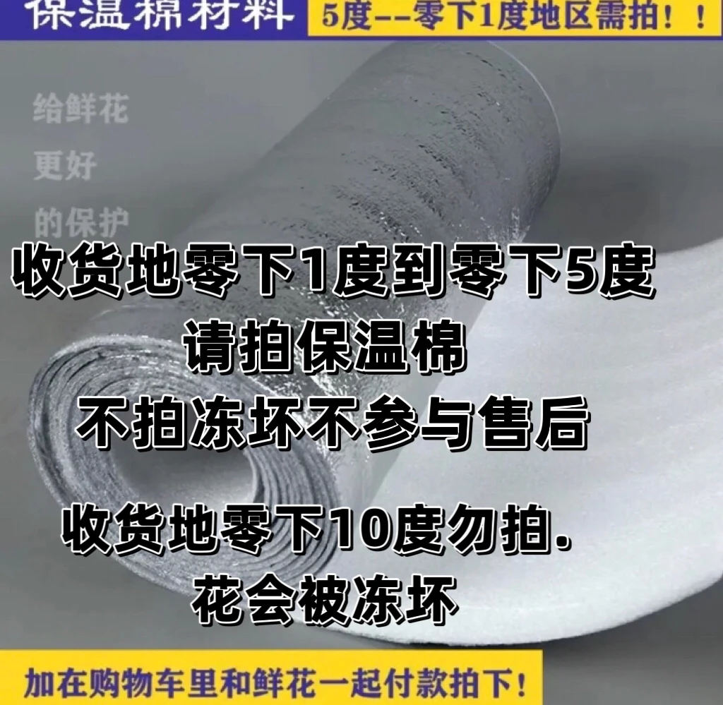 不参与凑单保温棉当地气温低于0度必拍 不拍冻伤不售后