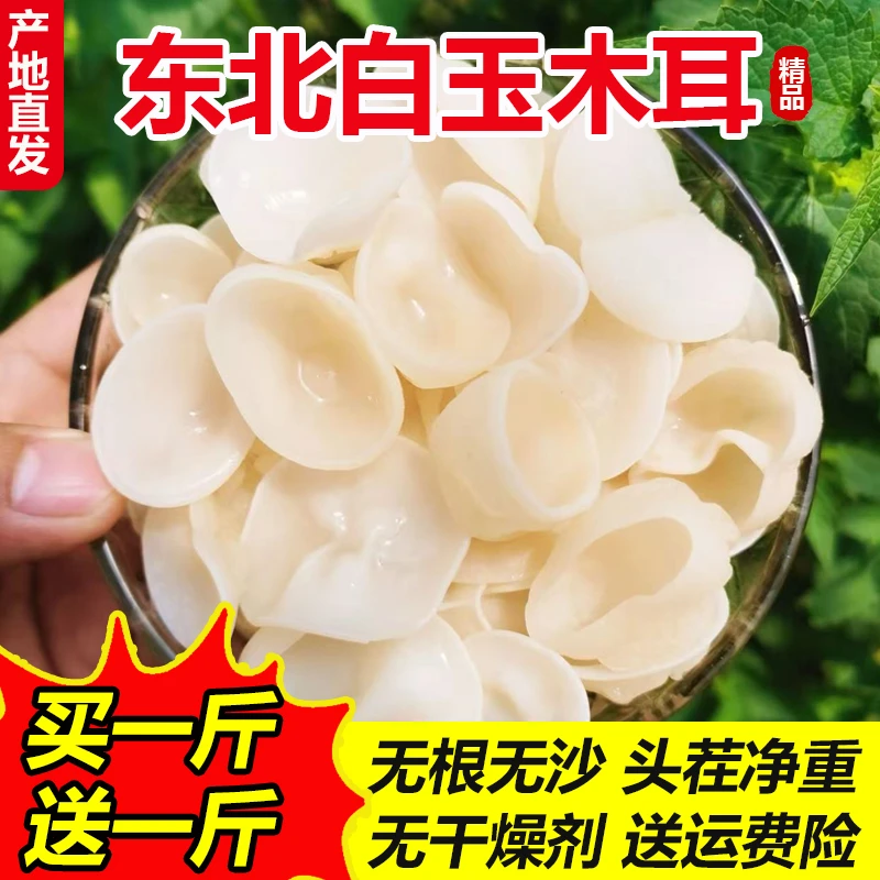 1【爆款】东北特产白玉木耳无根肉厚高吉林原产地发货白木耳净重