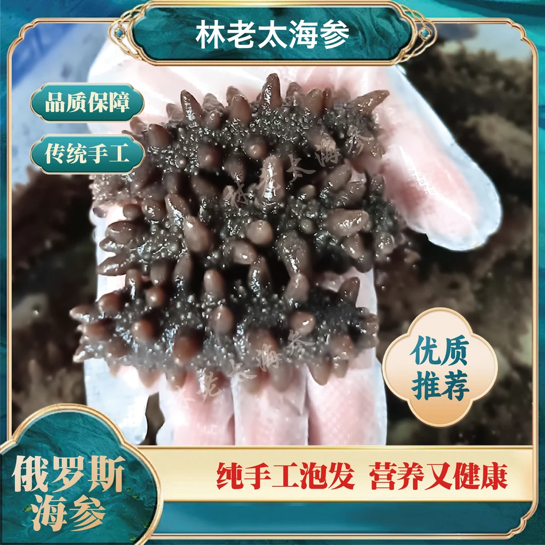 鲜食 俄罗斯海参 体验装（宝宝参）5条装  10条装