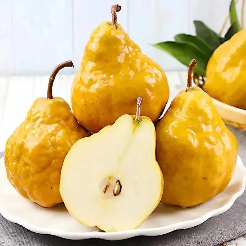 山东 烟台中华丑梨4.5斤装软糯香甜多汁（放软食用）