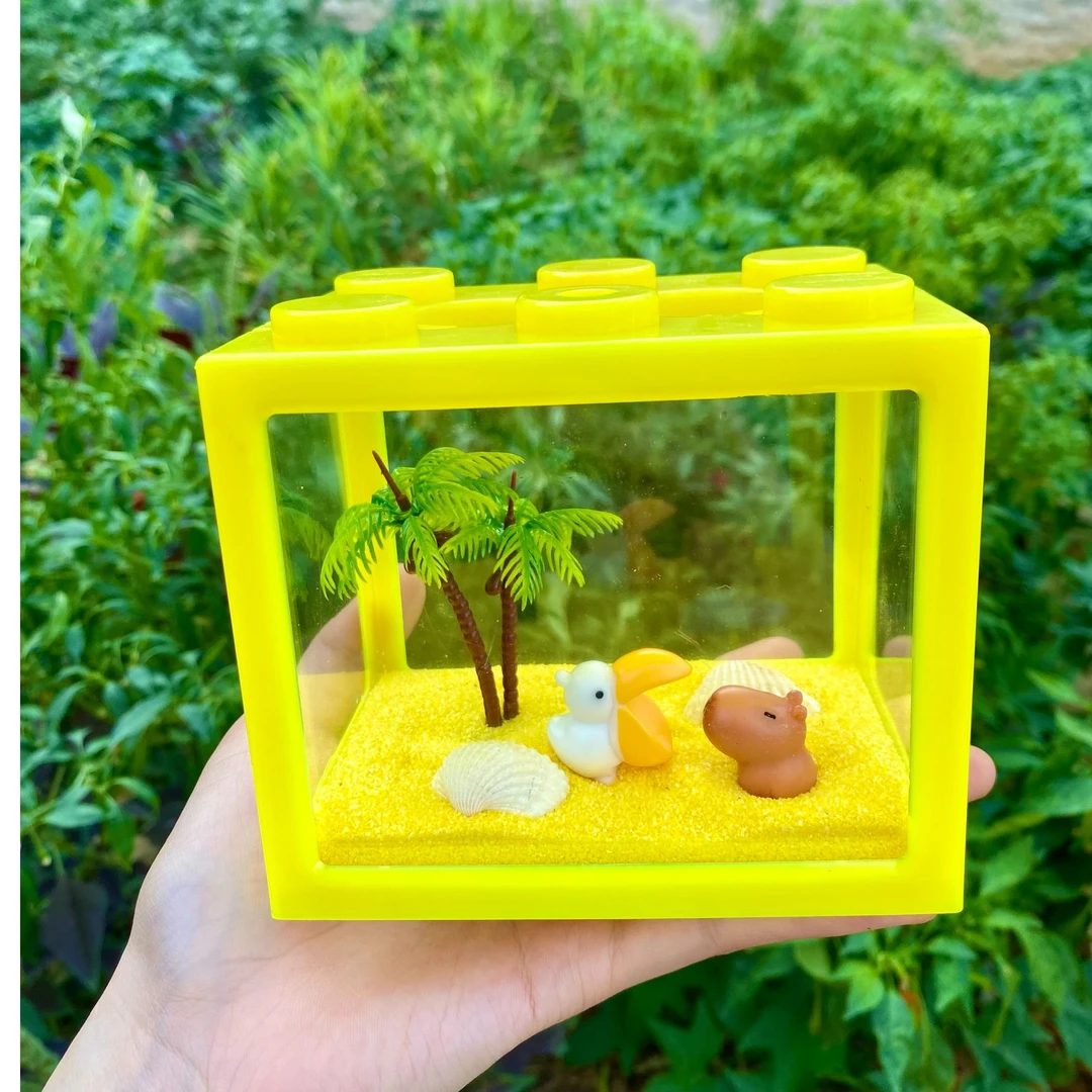 亚克力小缸卡通版寄居蟹饲养套餐豪华版基础版