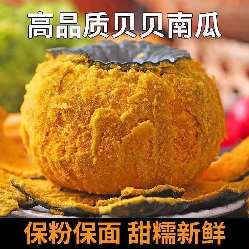 【粉糯香甜】山东真贝贝南瓜粉糯香甜宝宝辅食4.5-5斤装包邮