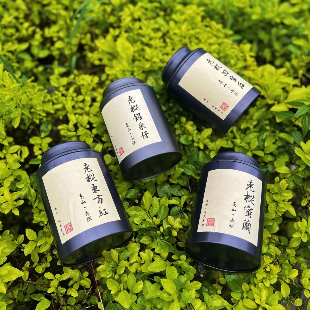 【荒野4样小高货】东方红+锯朵仔+蜜兰香+凹复后 凤凰单丛潮州厂区