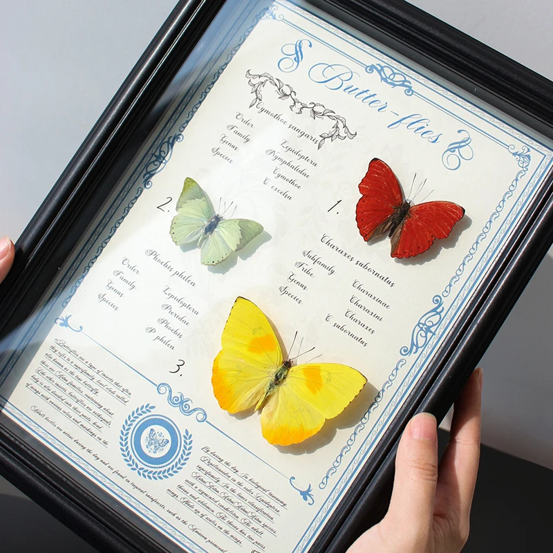 红绿黄三色组合蝴蝶标本装饰画创意手工DIY摆件实木相框女友礼物