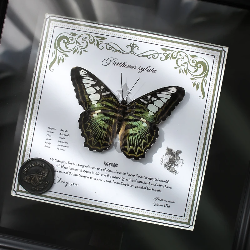丽蛱蝶蝴蝶标本成品相框装饰画摆件DIY手工艺品生日礼物送男女友