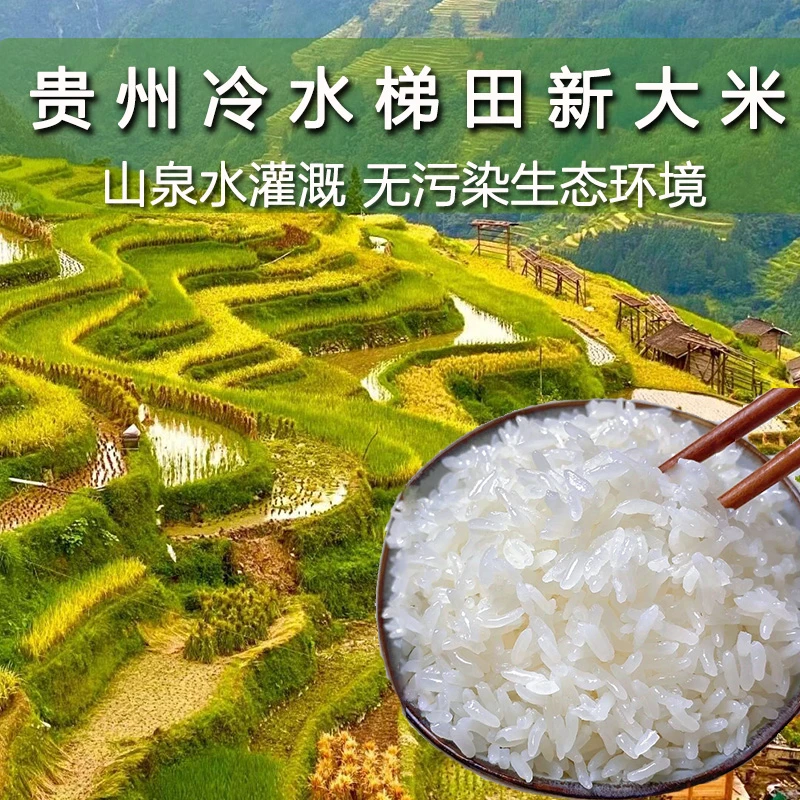 新大米2024年贵州长粒软糯正宗黔东南农家冷水梯田生态大米10斤