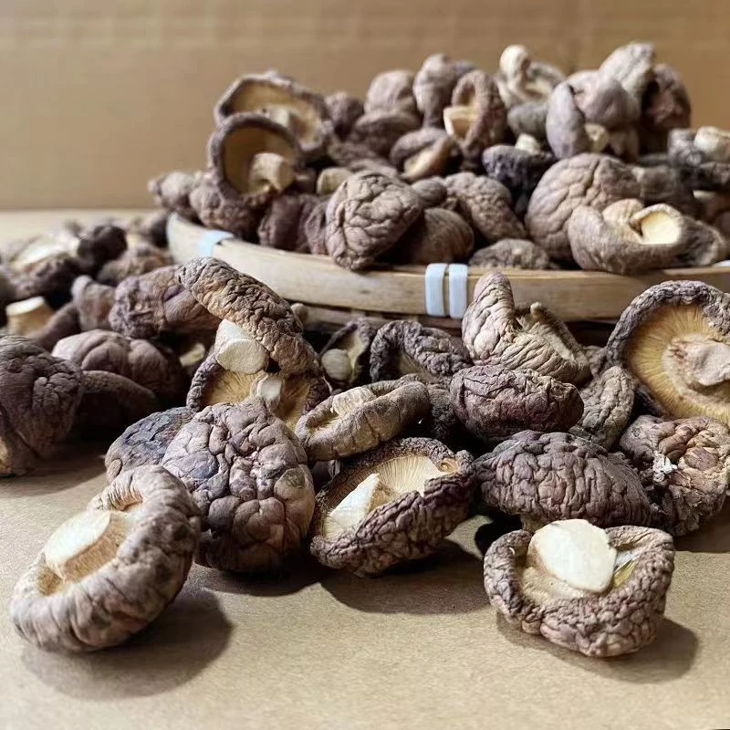 【小香菇】云南高山小香菇  山货 500克