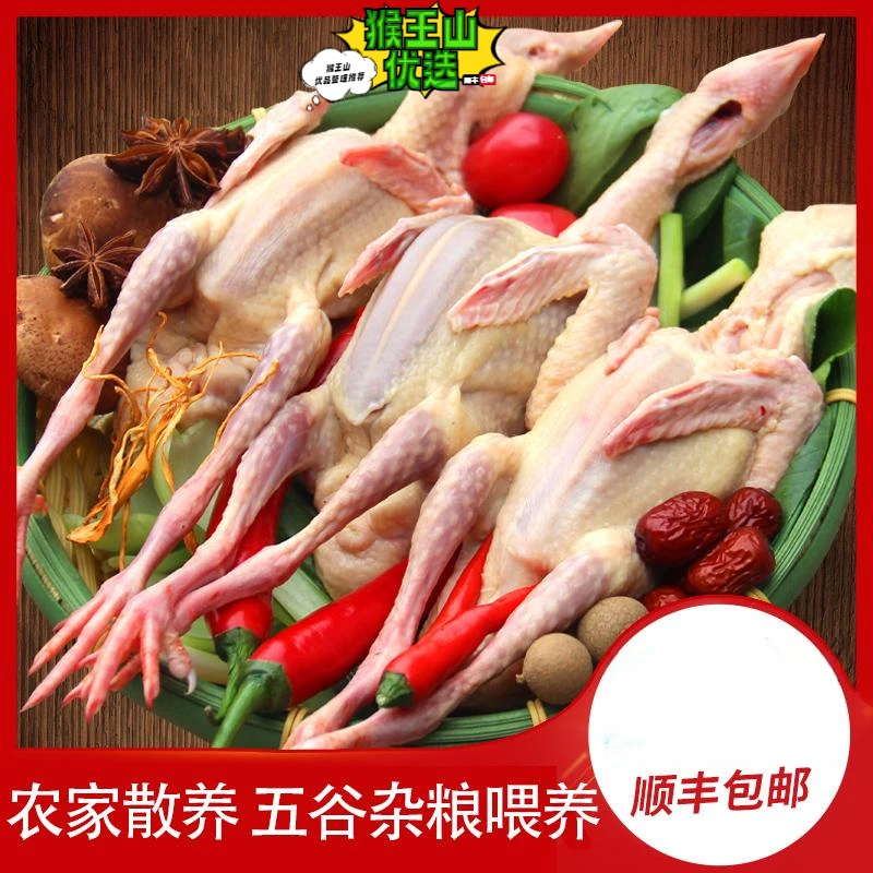 Z鸽子新鲜现杀乳鸽生鲜非老鸽子土鸽子鲜嫩农家土鸽子⒉/⒊只顺丰发