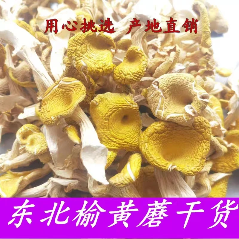 榆黄蘑干货500g东北特产软脚鸡油菌黄金菇金顶蘑小黄蘑食用菌250g