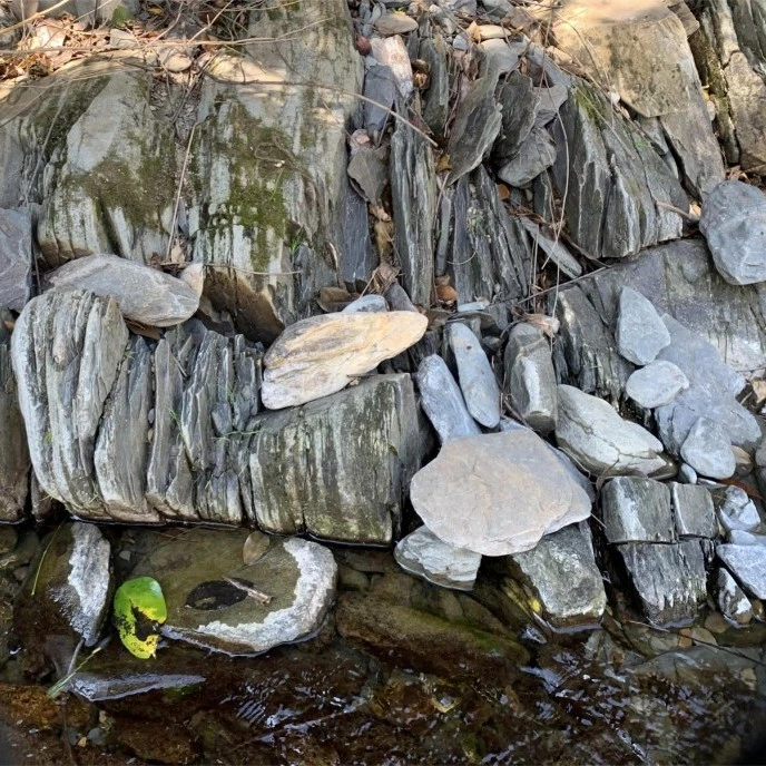 （直播间一图一物）天然原生溪流片石页岩石鱼缸造景缸铺底主