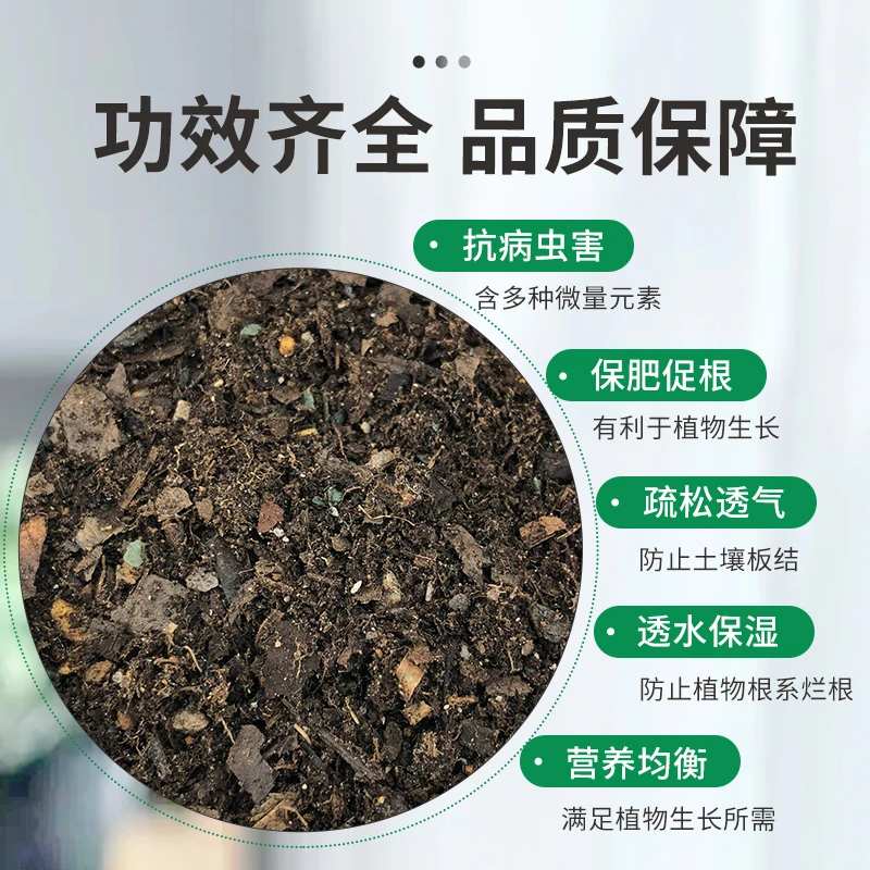 君子兰专用营养土+松针+像树叶+火山岩+珍珠岩+松鳞皮《五合一》