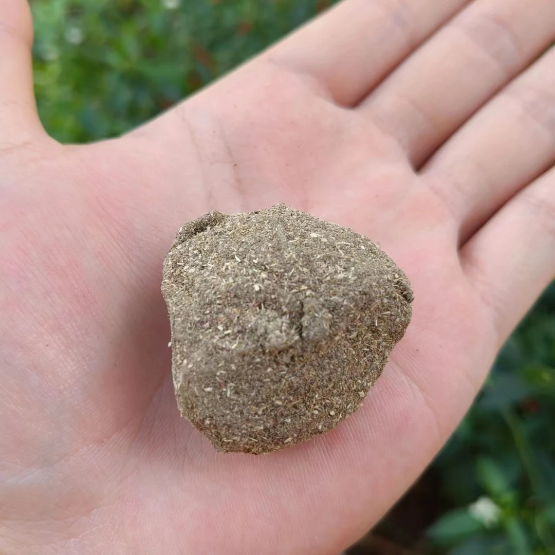 干草菩提果-【净含量】500g