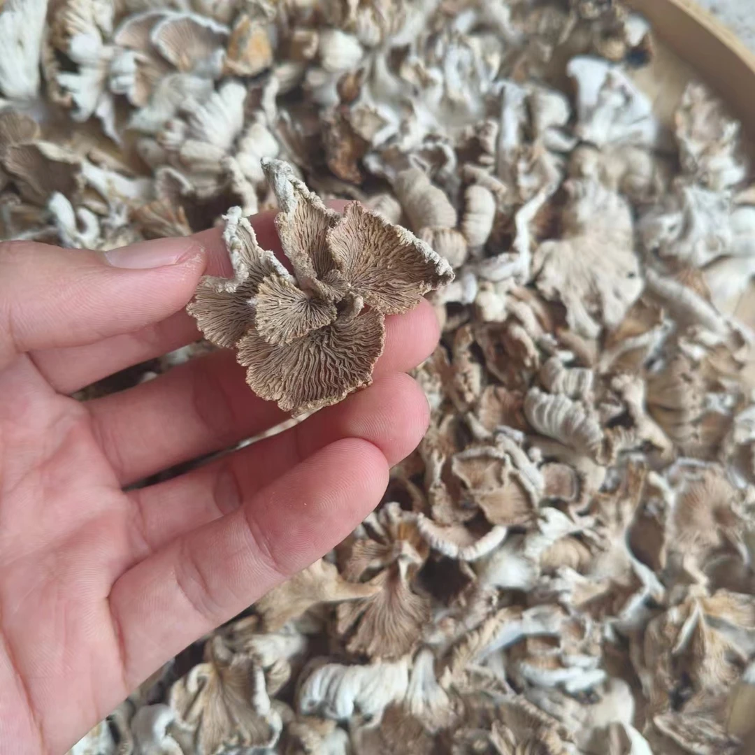 白山菌【净含量】250g-500g