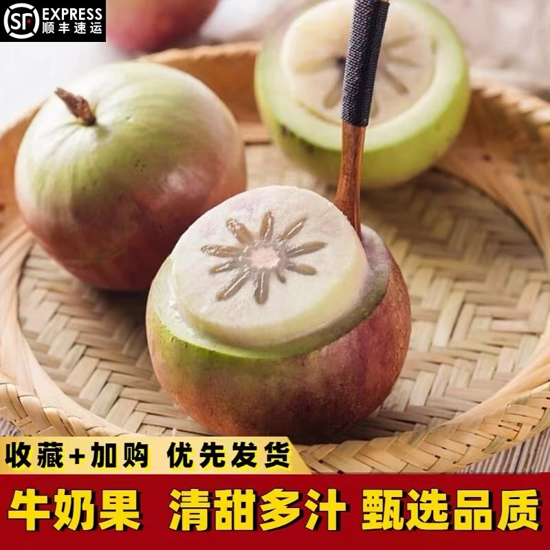 【顺丰速达】2024头茬紫色牛奶果 高山生态稀有软糯香甜水果1-5斤