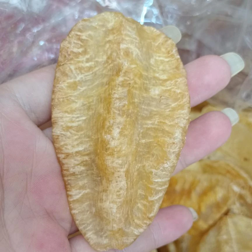 广东蔡琴食品商行叶子胶！老腊厚肉！