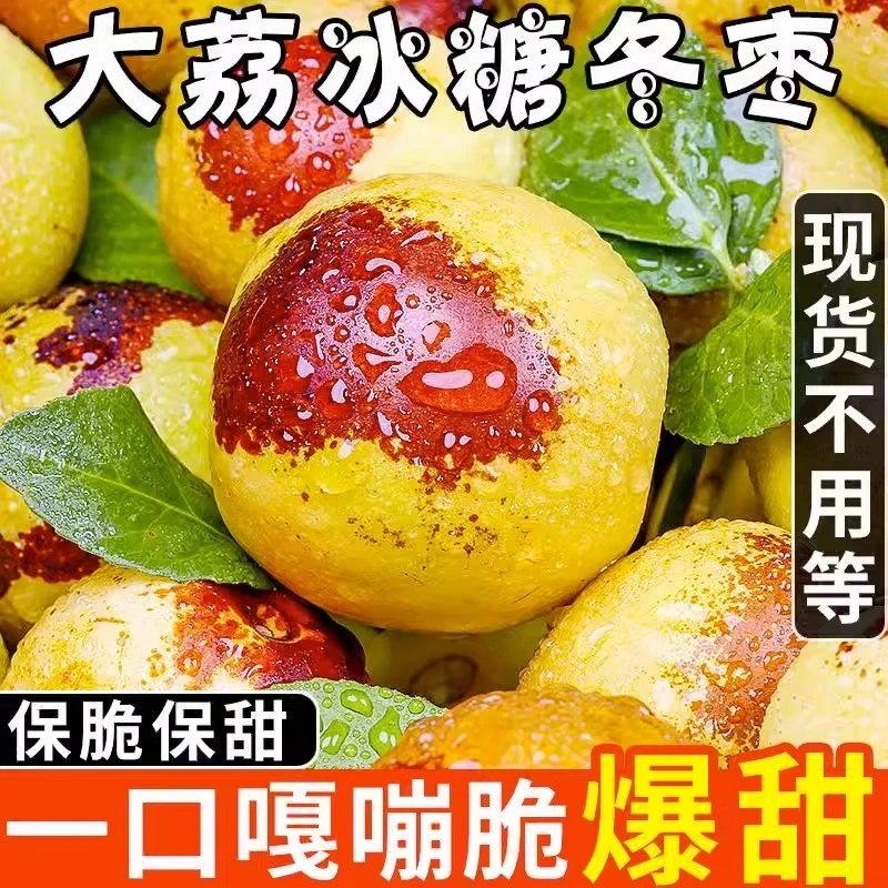 正宗陕西大荔冬枣现摘现发应季新鲜水果爆甜脆枣冰糖鲜枣坏果包赔