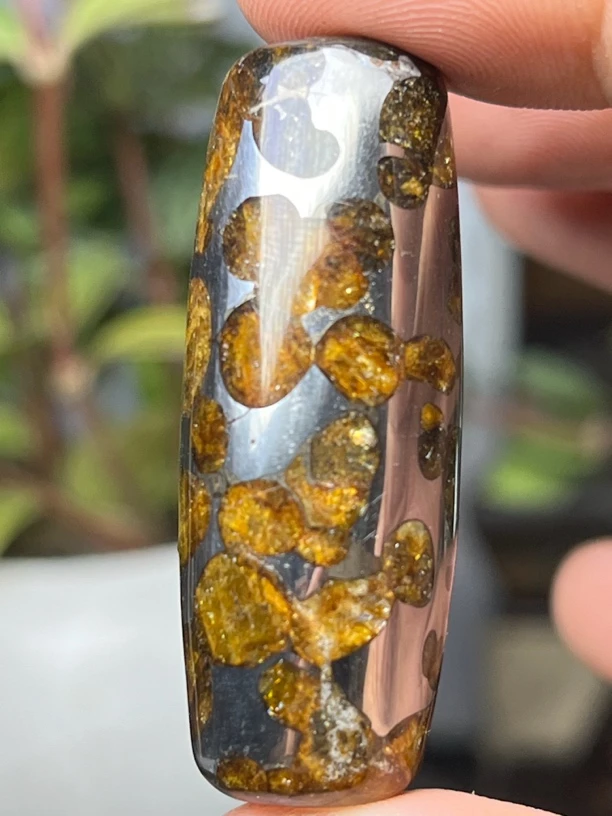 非金属树脂吊坠 肯尼亚橄榄星星天竺吊坠