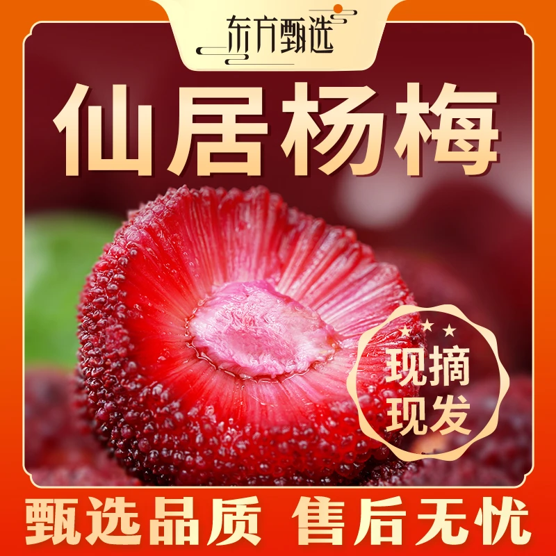 甄选自营｜东方甄选仙居杨梅单果20-30g 3盒装酸甜多汁坏果包赔