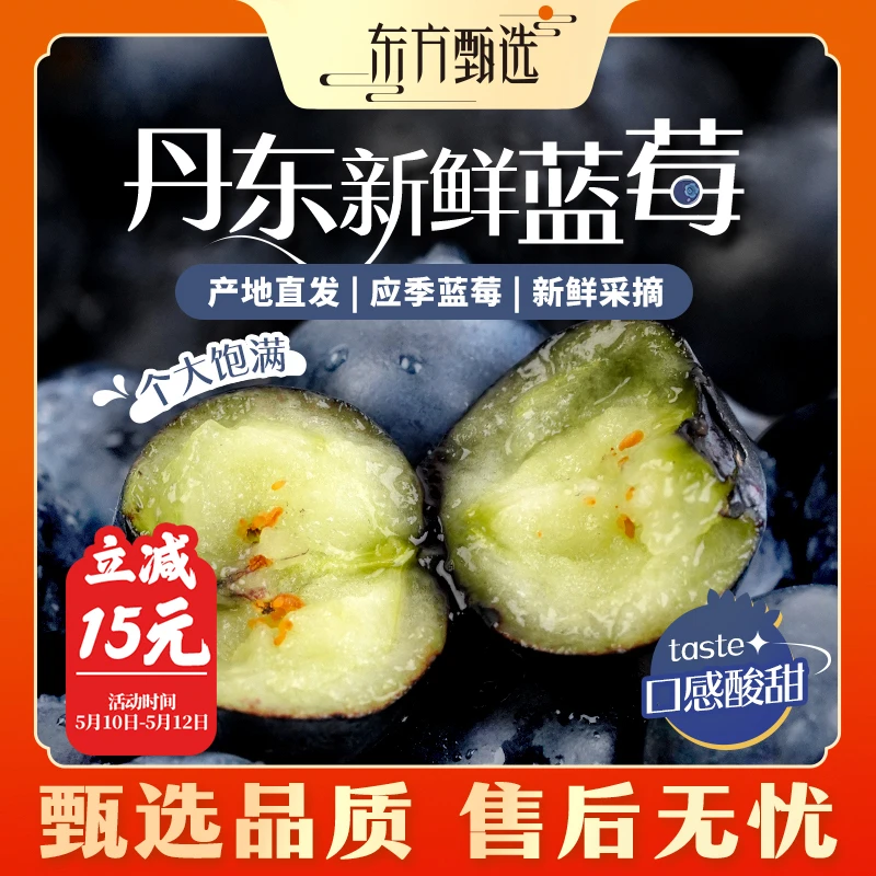 甄选自营 | 东方甄选丹东蓝莓4盒装 125g/盒酸甜多汁坏果包赔清凉