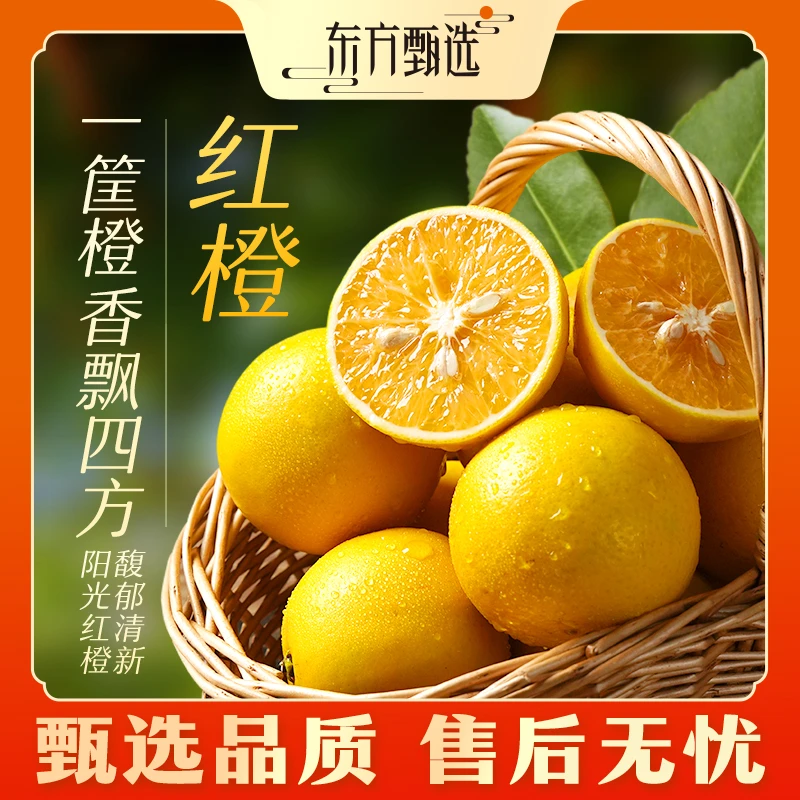 甄选自营 | 东方甄选红橙  4.5斤装 酸甜多汁坏果包赔