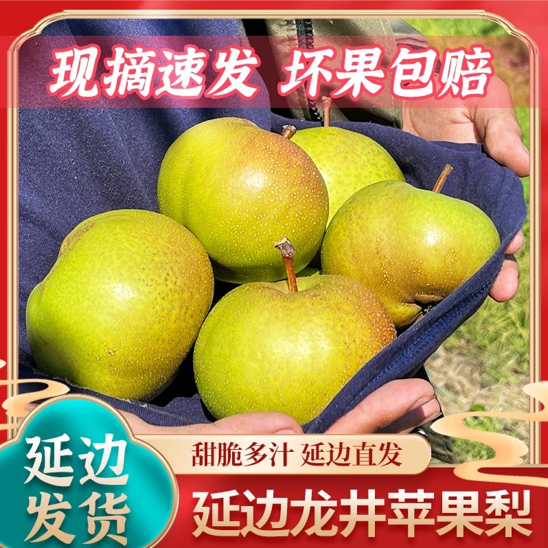【顺丰包邮】延边苹果梨龙井三合苹果梨新鲜当季水果做冻梨