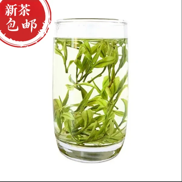 2025明前白茶兰花香回甘甜浙江原产地高山口粮浓香绿茶茶农自销