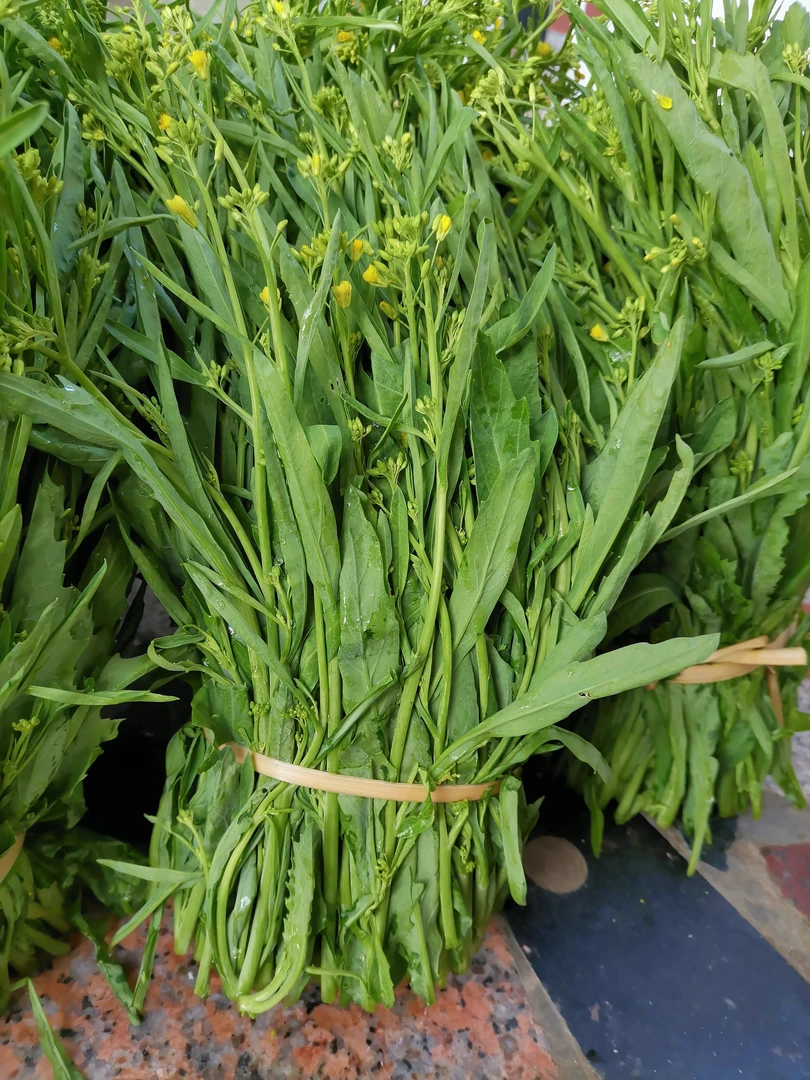 云南德宏当季蔬菜 苦菜头 苦菜苔 新鲜酸扒菜 农家种植1斤
